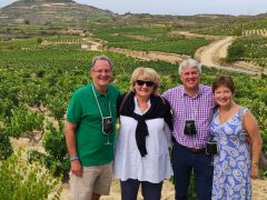 Rioja Wine Tour: Winery & Traditional Lunch from Pamplona