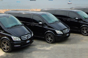 ncc-auto-mercedes-viano01_